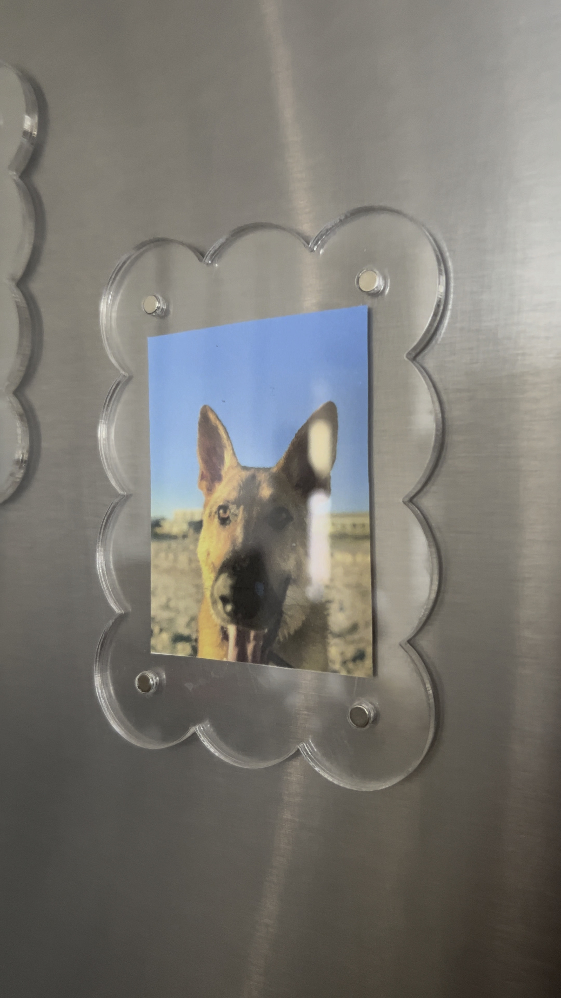 Scalloped edge, acrylic, picture frame magnets #amazonhome 

#LTKStyleTip #LTKHome #LTKFindsUnder50