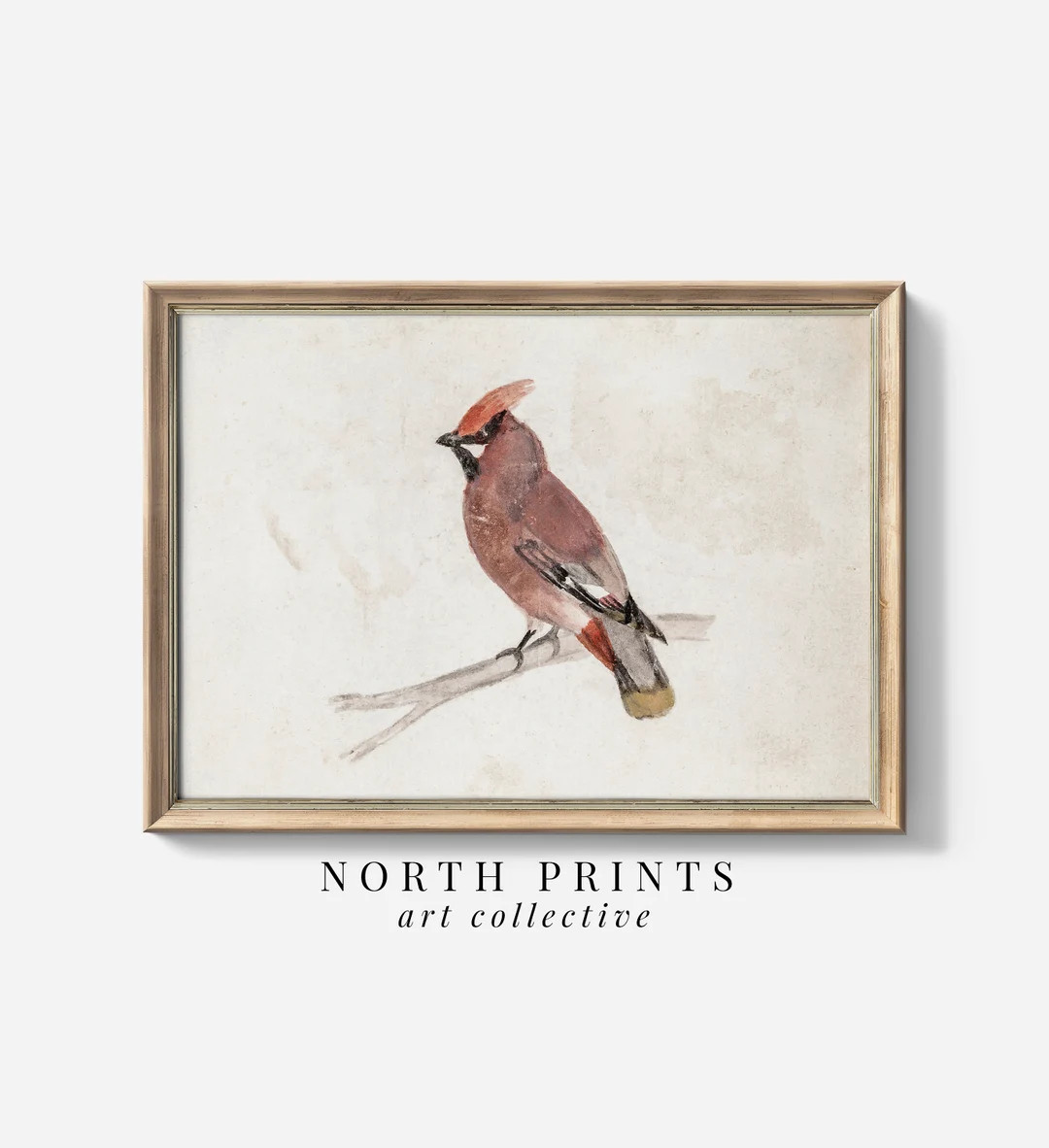 Vintage Rustic Winter Bird Cardinal Watercolor Neutral Country Wall Art PRINTABLE Digital North P... | Etsy (US)