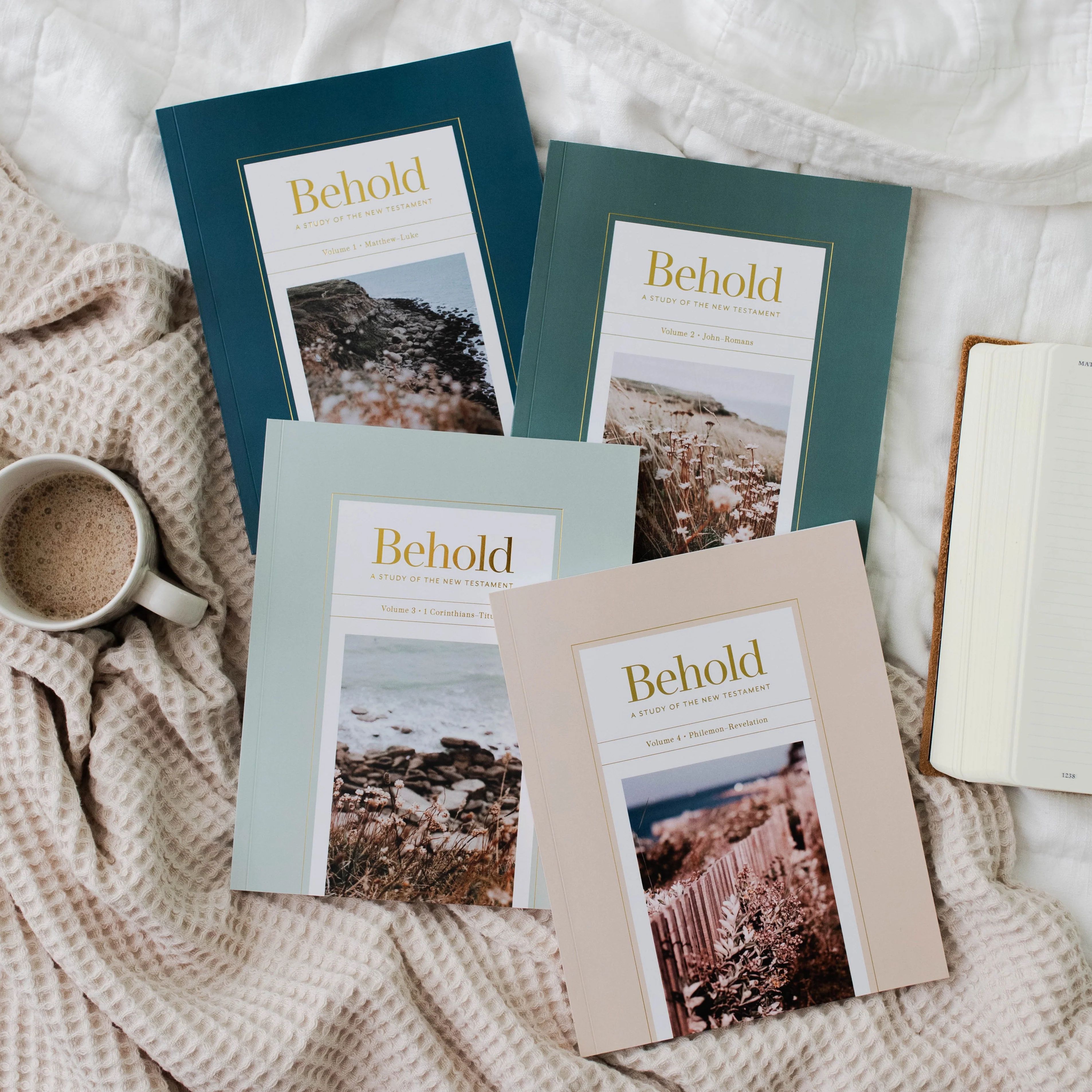 Behold: A Study of the New Testament Bundle | The Daily Grace Co.