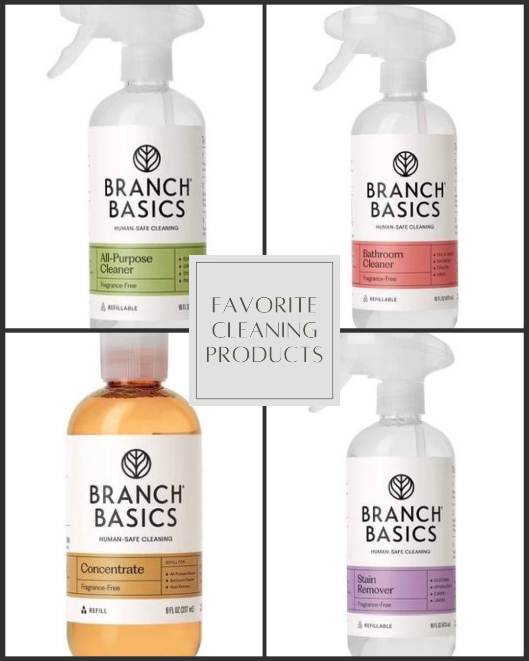 My favorite non-toxic cleaning products ever! As gentle and non-toxic as water according to the creator. We use as laundry cleaner too!

#LTKFamily #LTKFindsUnder50 #LTKHome