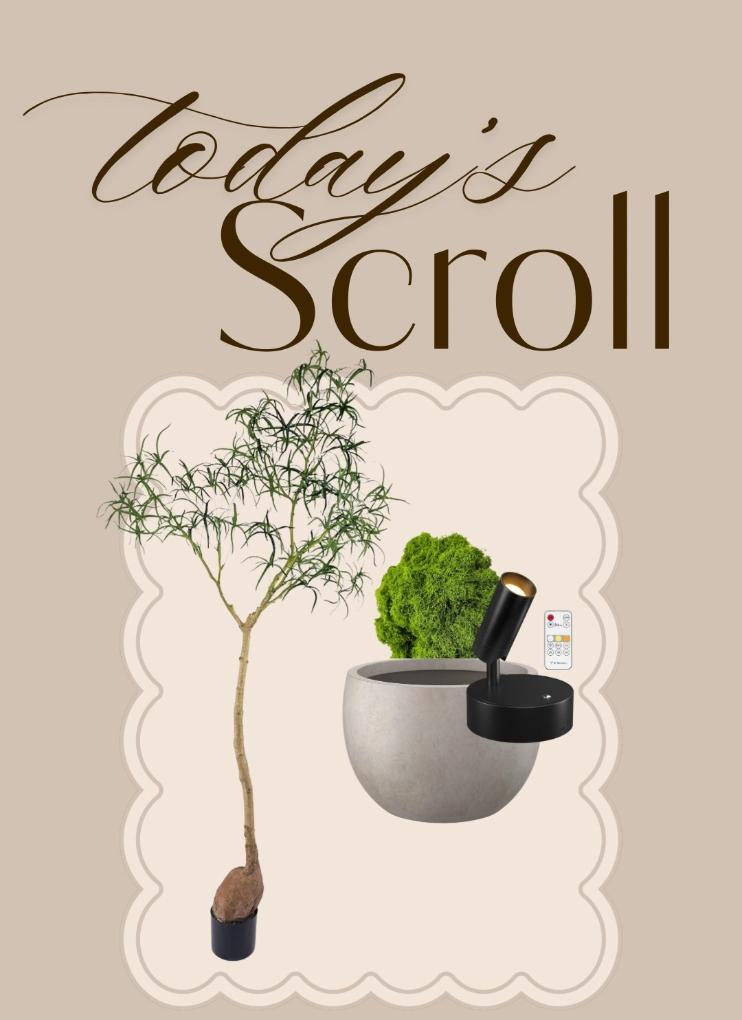 On today’s Scroll | Faux tree 

#LTKdayinmylife #LTKSeasonal #LTKHome