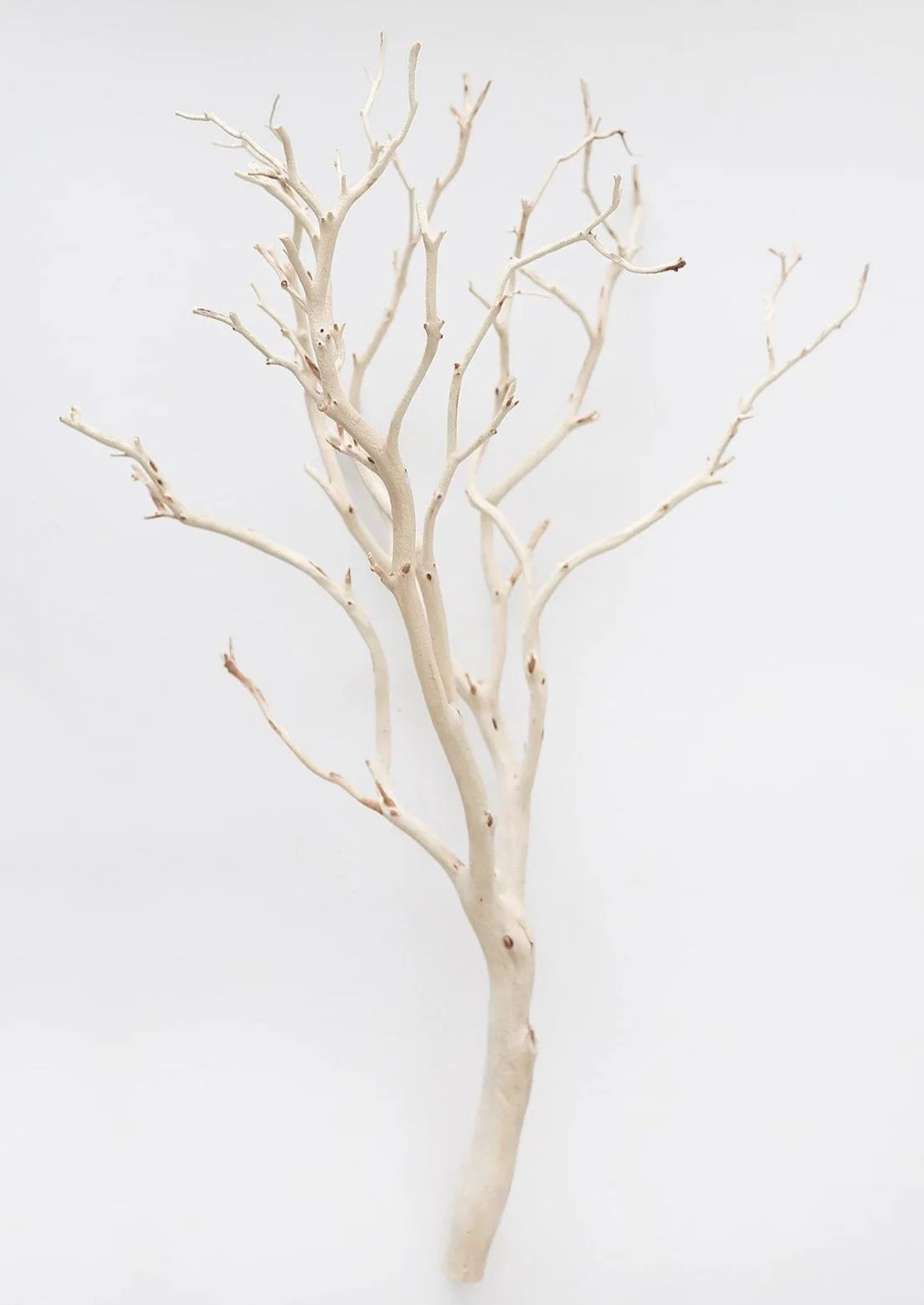Dried Decor Sandblasted Manzanita Branch - 34-38" | Afloral (US)