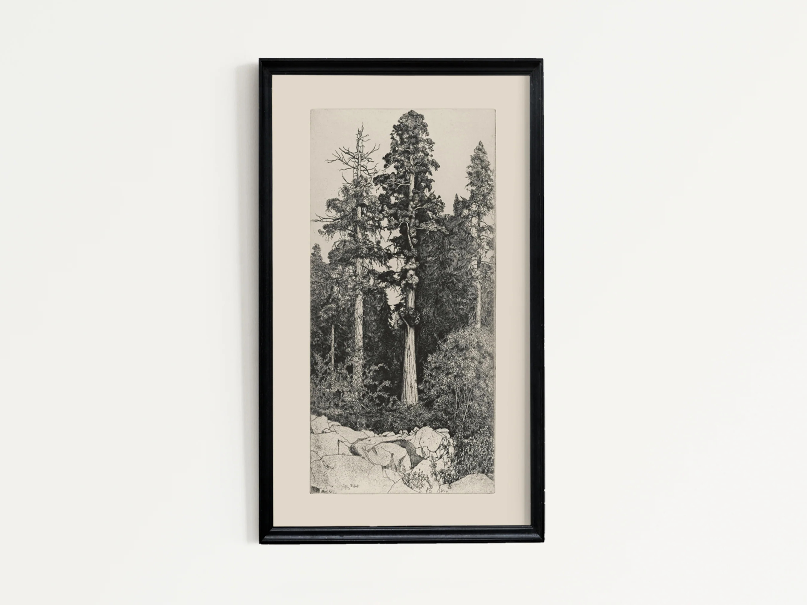 Tree Four | Heirloom Print Shop