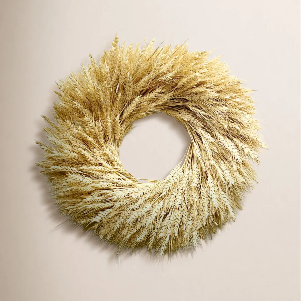 Preserved Natural Blonde Wheat 22" Fall Wreath | Wayfair North America