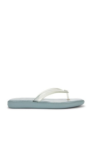 Coach Jelly Flip Flop Sandal in Baby Blue. - size 8 | Revolve Clothing (Global)