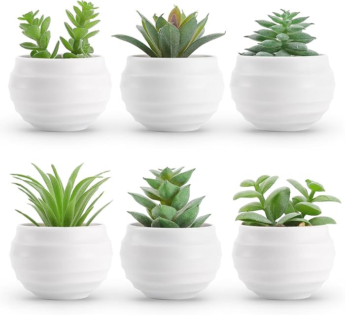 Amazon.com: Der Rose Set of 6 Succulents Plants Artificial in Pots Small Fake Plants for Bedroom ... | Amazon (US)