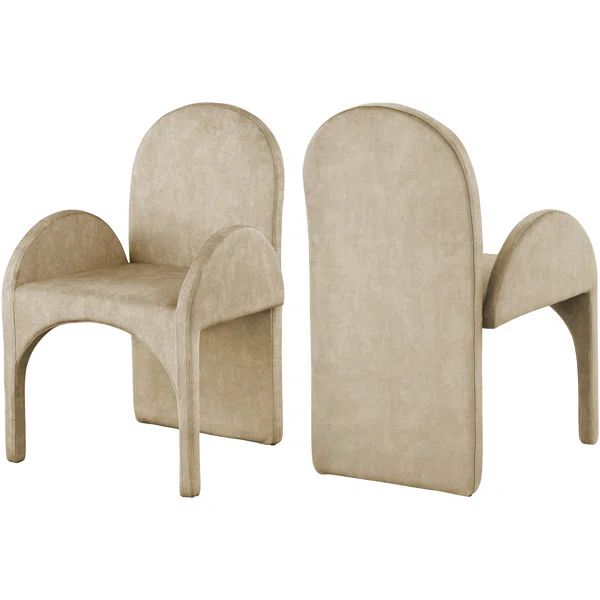 Caserta Velvet Upholstered Solid Back Arm Chair (Set of 2) | Wayfair North America