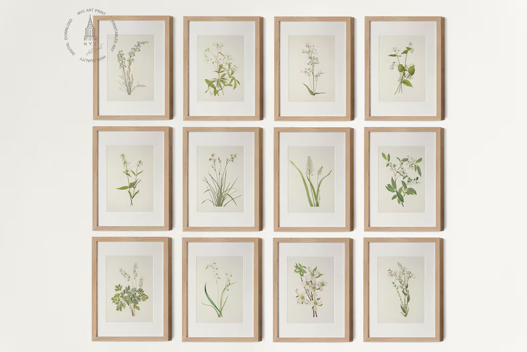 Vintage Botanical Prints Gallery Wall Set of 12, Vintage Neutral Botanical Prints, Antique Botani... | Etsy (US)