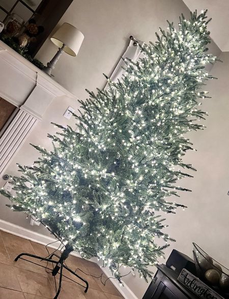 The 9 foot viral Christmas tree from Home Depot. This is the grand duchess tree. Linking similar options 

#LTKHolidaySale #LTKHoliday #LTKSeasonal