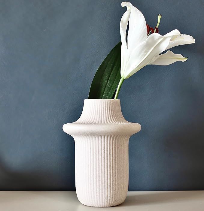 Carrot's Den Off White Ceramic Vase | Wide Top Opening Mouth, Ribbed Vase for Pampas, Boho Decor,... | Amazon (US)