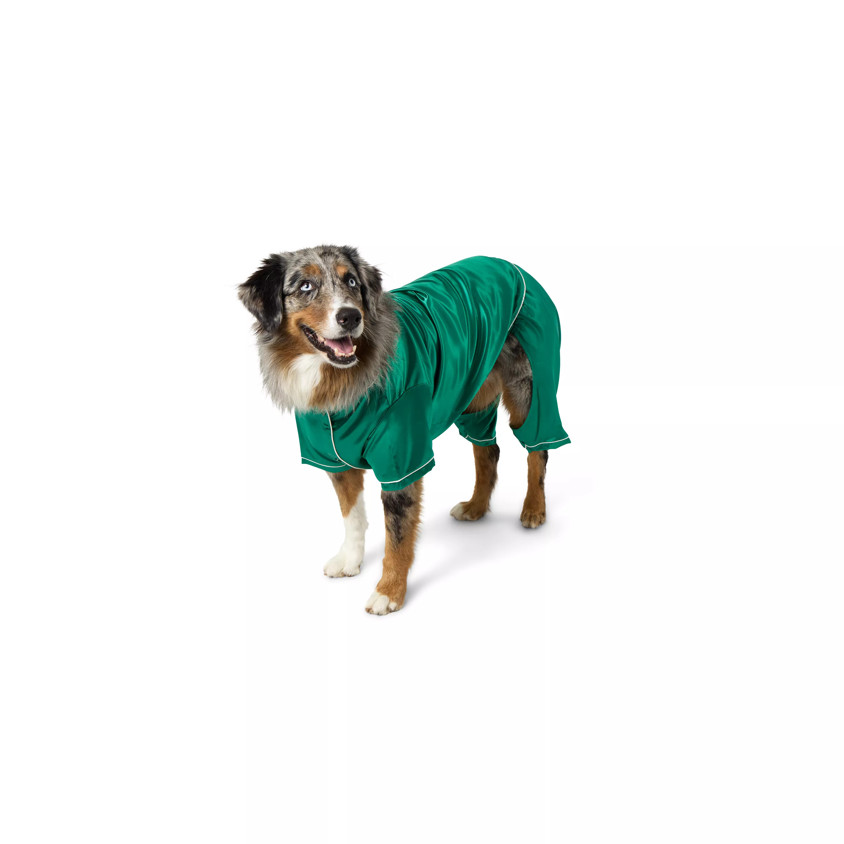 Merry & Bright&trade; Green Satin Pajamas, Dog & Cat | PetSmart