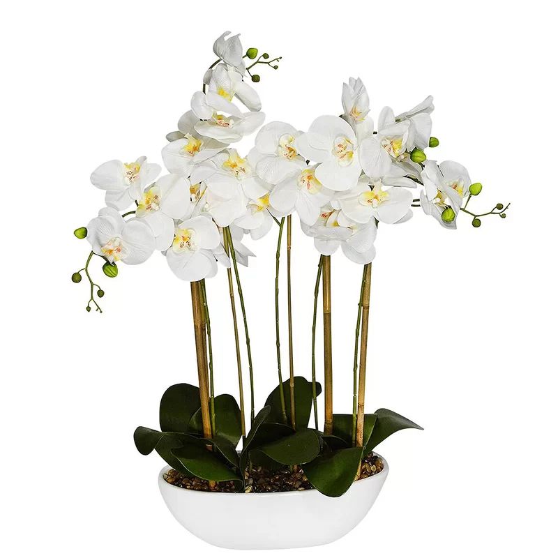 Phalaenopsis Orchids Centerpiece in Vase | Wayfair North America