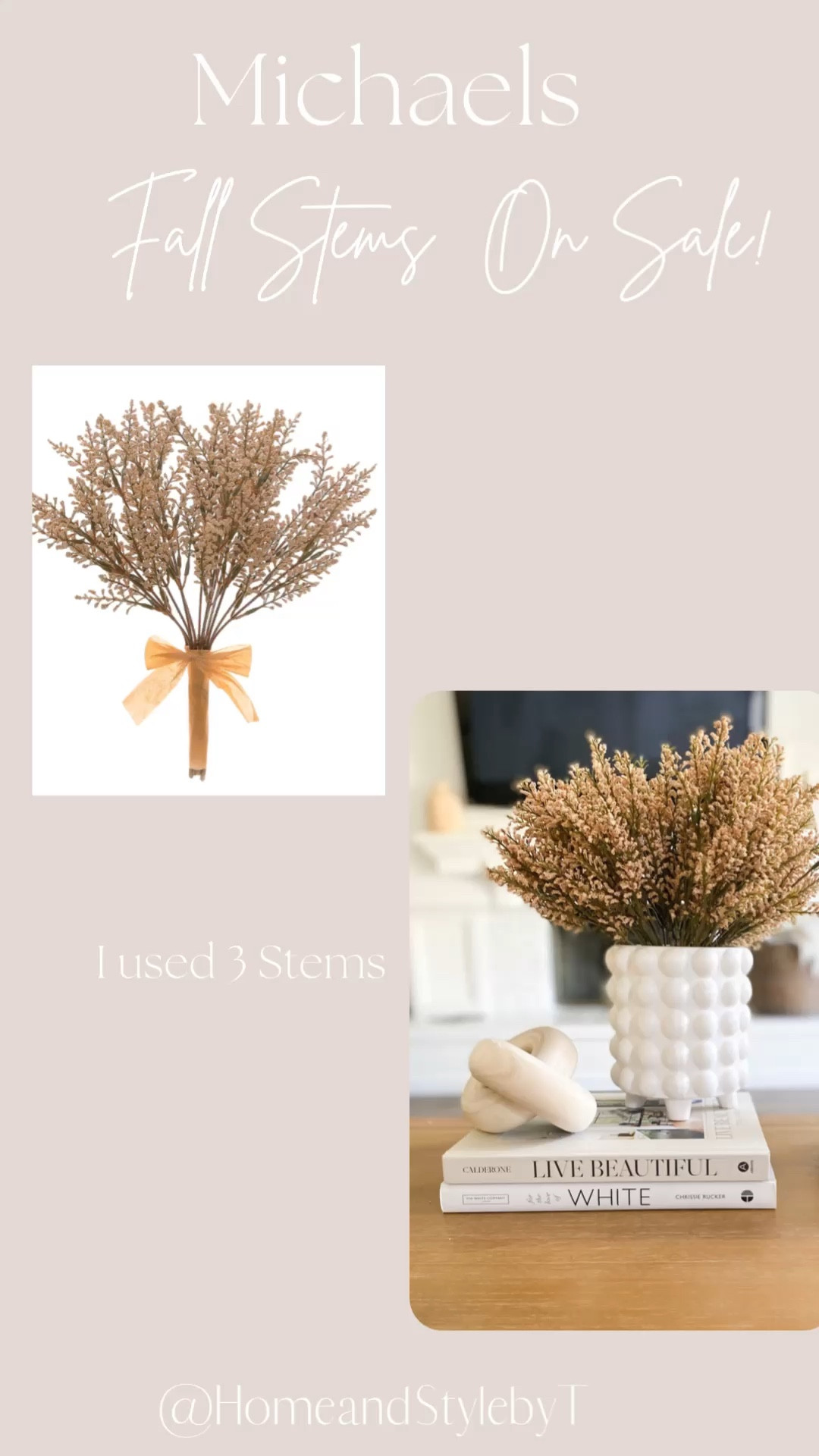 Perfect fall stems 

#LTKhome #LTKSeasonal #LTKsalealert