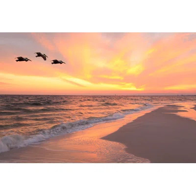 Beach At Sunset " by Sdbower | Wayfair North America