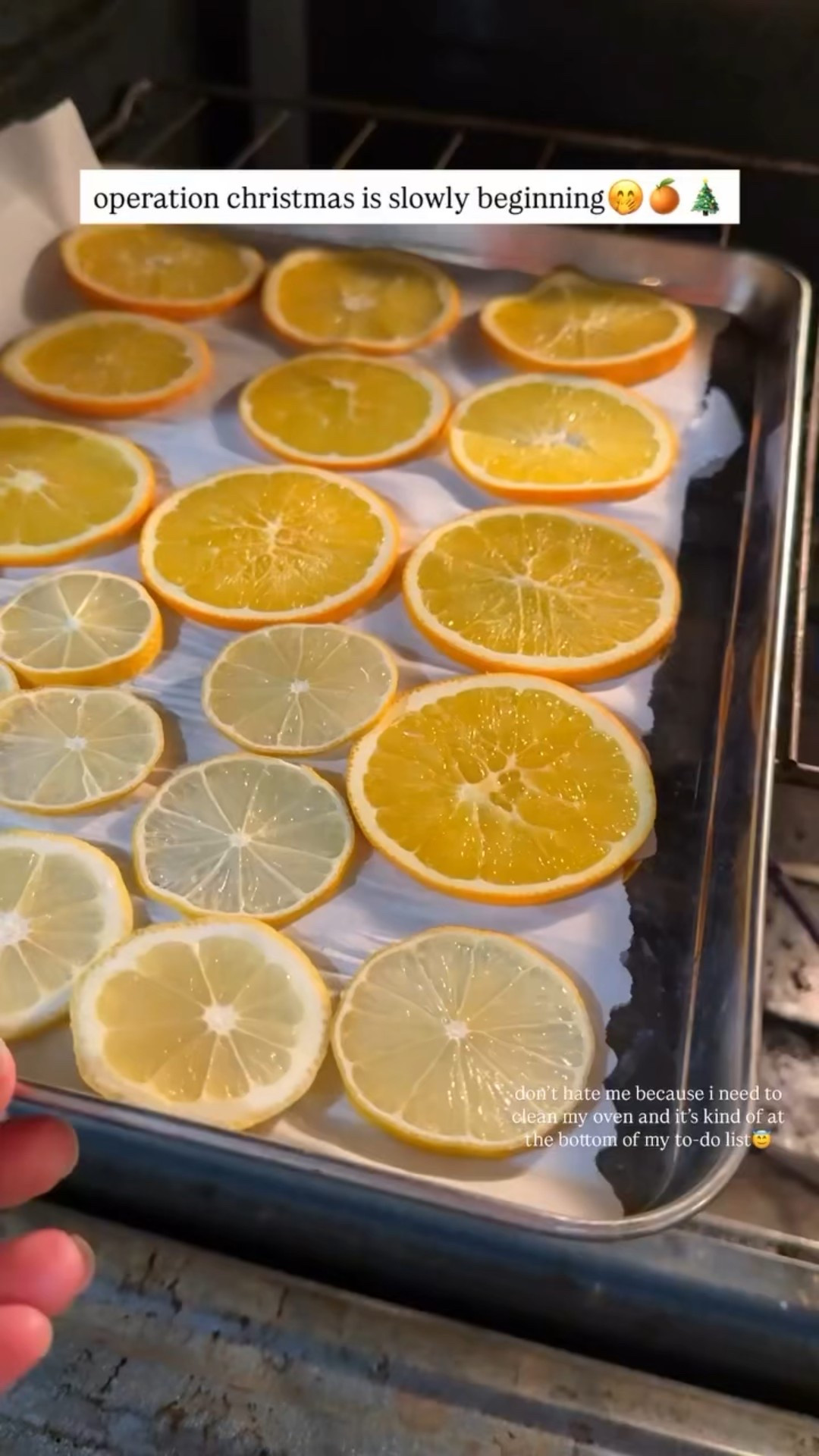 operation christmas has begun in my house! time to dehydrate a bunch of oranges in the oven (for a couple hours at 180-200° degrees, flipping at least once). linking my stainless steel baking sheet!



#LTKFindsUnder50 #LTKSeasonal #LTKHoliday