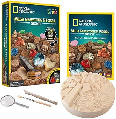 NATIONAL GEOGRAPHIC Mega Fossil and Gemstone Dig Kits - Excavate 10 Real Fossils and 10 Real Gems... | Amazon (US)