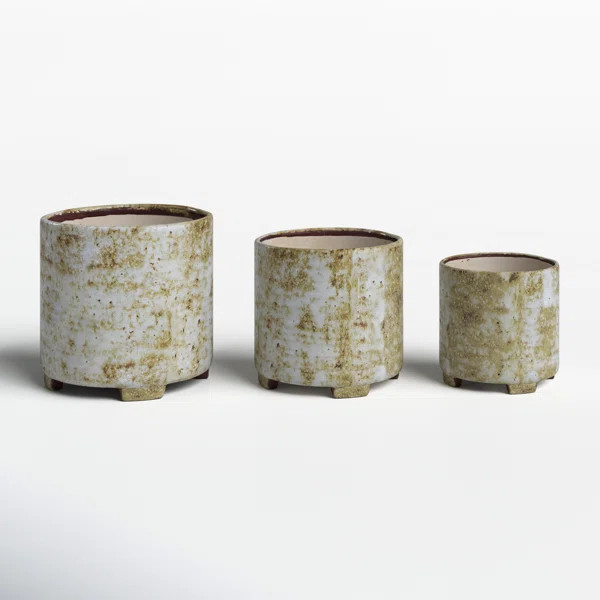 Alarica Pot Planter | Wayfair North America