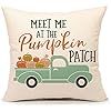 4TH Emotion Fall Pumpkin Truck Throw Pillow Cover Autumn Quotes Cushion Case for Sofa Couch 18" x... | Amazon (US)