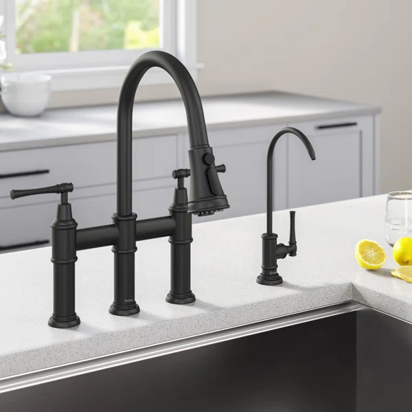 Kraus Allyn Transitional Bridge Kitchen Faucet and Water Filter Faucet Combo | Wayfair North America
