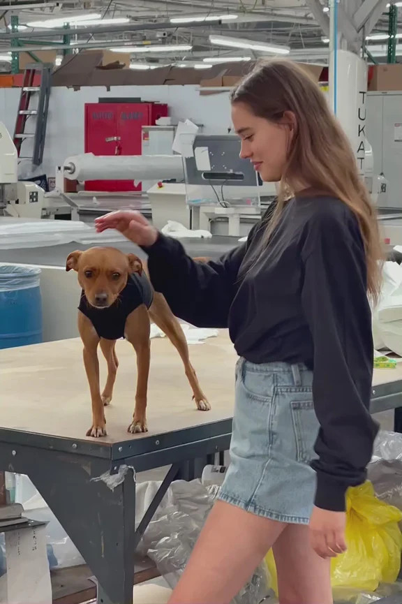 1406GD Mix - Long Sleeve Garment Dye Mockneck T-Shirt | Los Angeles Apparel