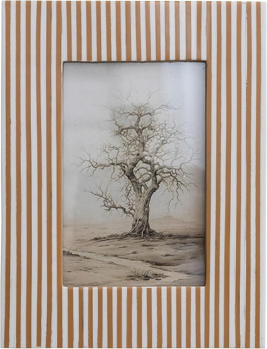 Creative Co-Op Resin Striped Photo Frame, White & Caramel | Amazon (US)