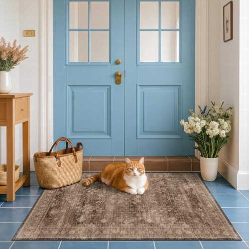 Boho Taupe Brown 3x5 Large Entryway Rug - Modern Vintage Traditional Eclectic Oriental Neutral, W... | Amazon (US)