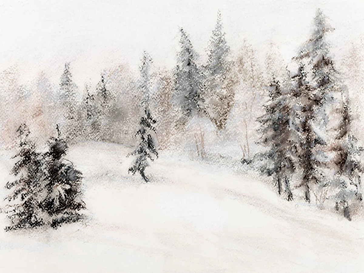 Frosted Forest | Collection Prints