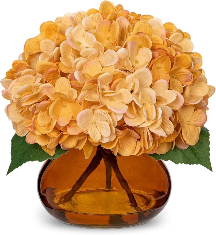 Hollyone Hydrangea Artificial Flowers with Glass Vase Yellowish Orange Silk Faux Flowers Arrangem... | Amazon (US)