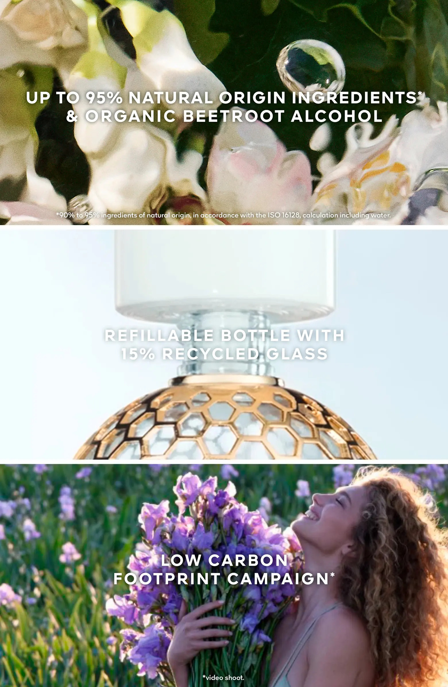 Aqua Allegoria Flora Salvaggia Wildflower Eau de Toilette | Nordstrom