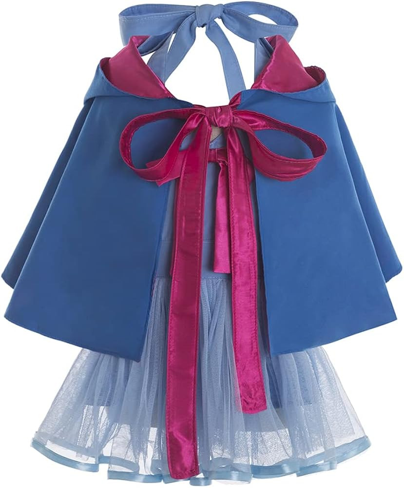 Cinderella Fairy Godmother Kids Costume Cape+ Aprons | Amazon (US)