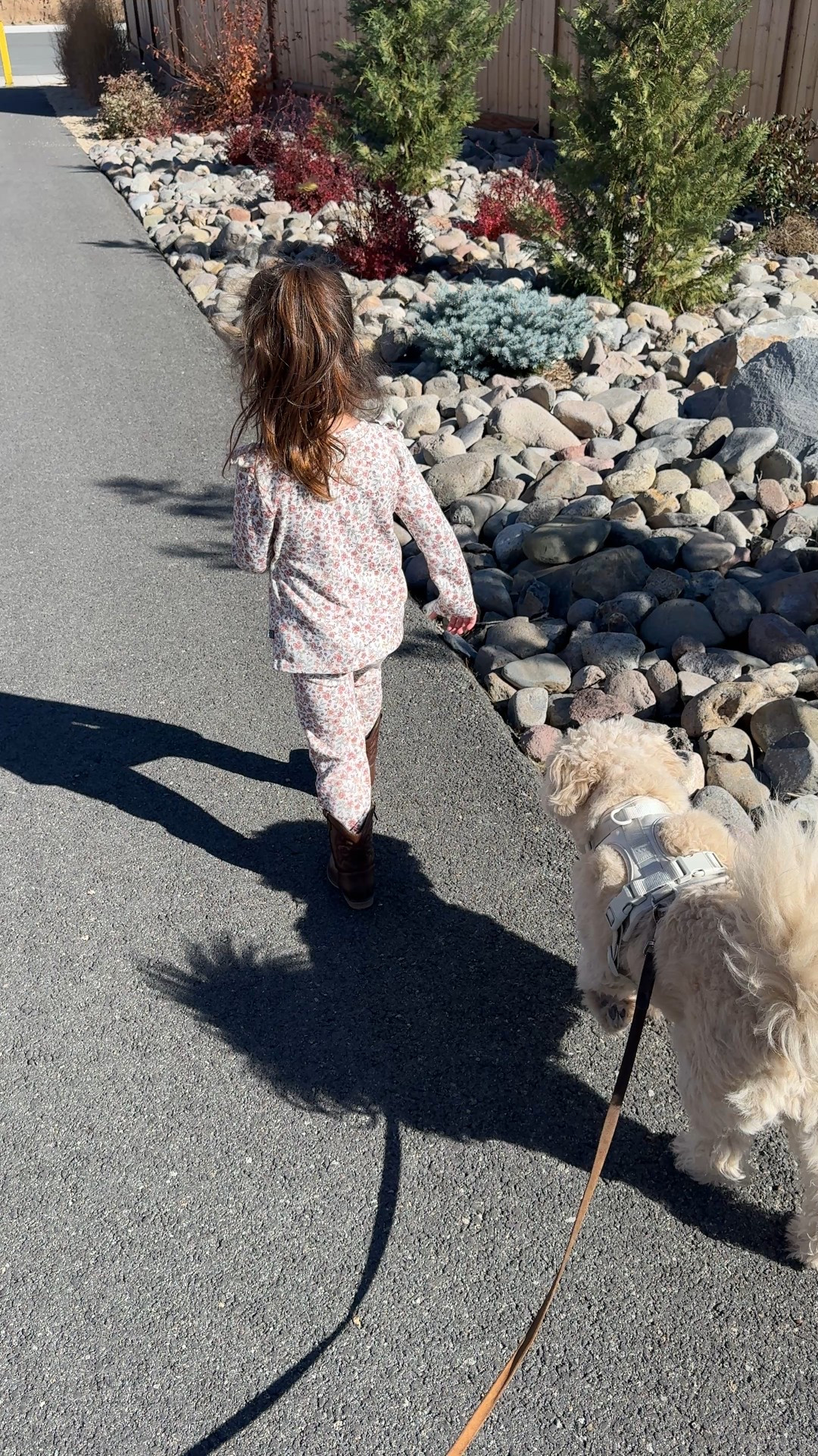 Walks with honey outfit 🤠 

#LTKKids #LTKFamily