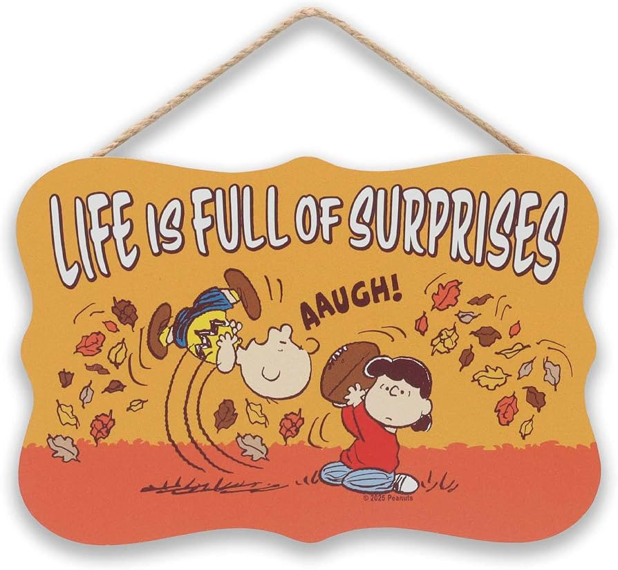 Peanuts Life Is Full of Surprises Hanging Wood Wall Decor | Amazon (US)