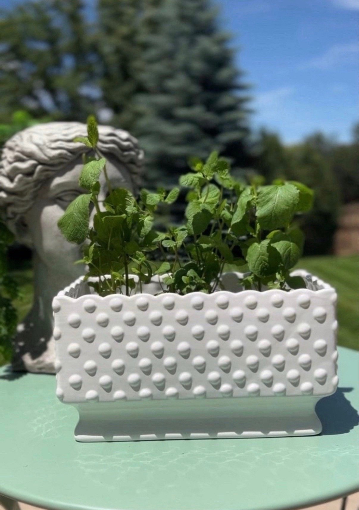 Planted a little mint herb garden in one of my favorite white hobnail planters 🌱



#LTKSaleAlert #LTKHome #LTKSeasonal