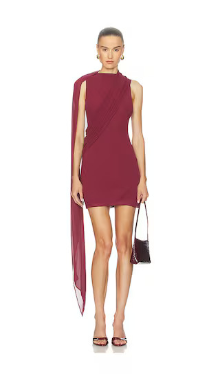 Casilda Mini Dress in Oxblood | Revolve Clothing (Global)