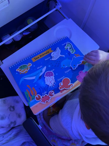 BUSY BOOK! A must have for 18m-4 year olds for a long car ride or airplane ride! That kept our toddler so busy and a better alternative to an iPad… he learned so much + you will get continued use out of it! 

#LTKfamily #LTKtravel #LTKkids
