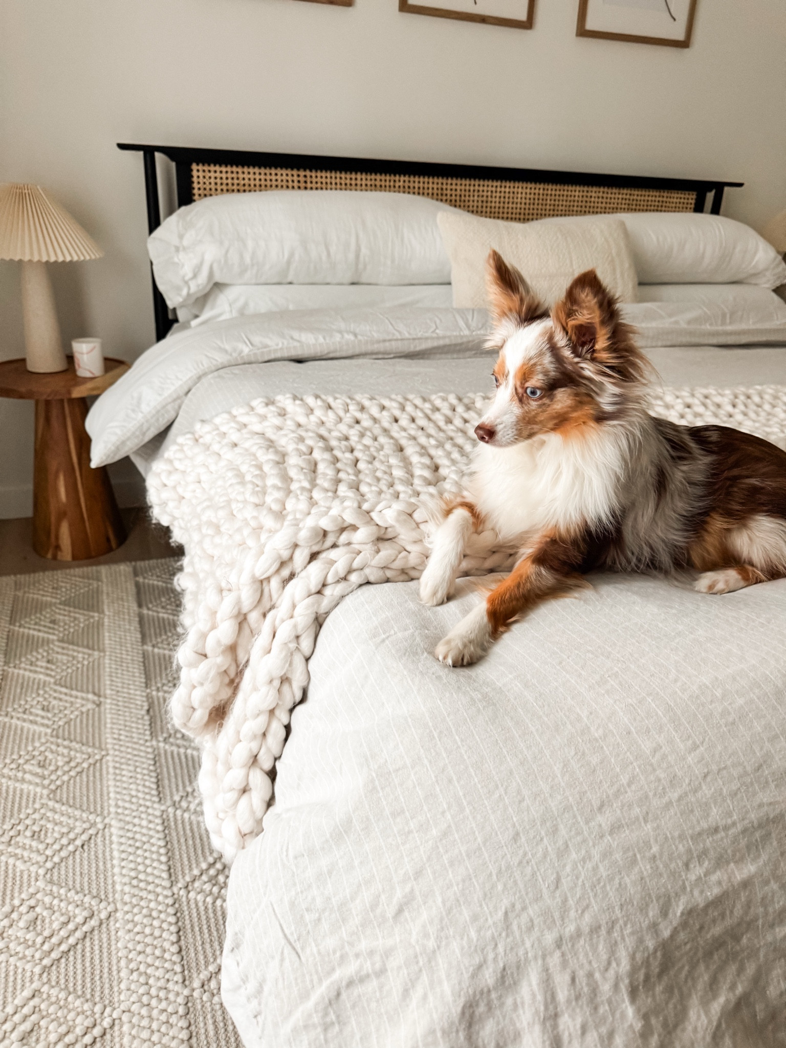 Obsessed with how this solid wood frame bed turned out in my guest room! The cane detailing is the perfect touch. Can’t believe how affordable this beauty is, thanks to @wayfair! #wayfair #wayfairpartner

#LTKFamily #LTKHome #LTKSaleAlert