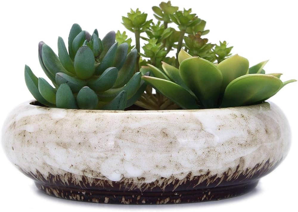 VanEnjoy 7.3 inch Round Large Shallow Succulent Ceramic Glazed Planter Pots with Drainage Hole, B... | Amazon (US)