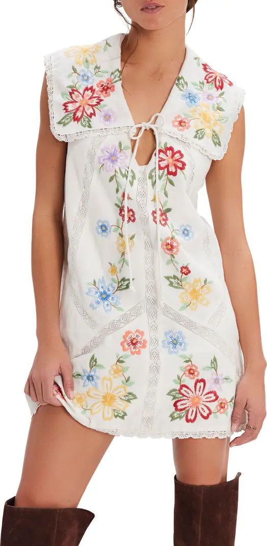 Willow Embroidered Lace Minidress | Nordstrom