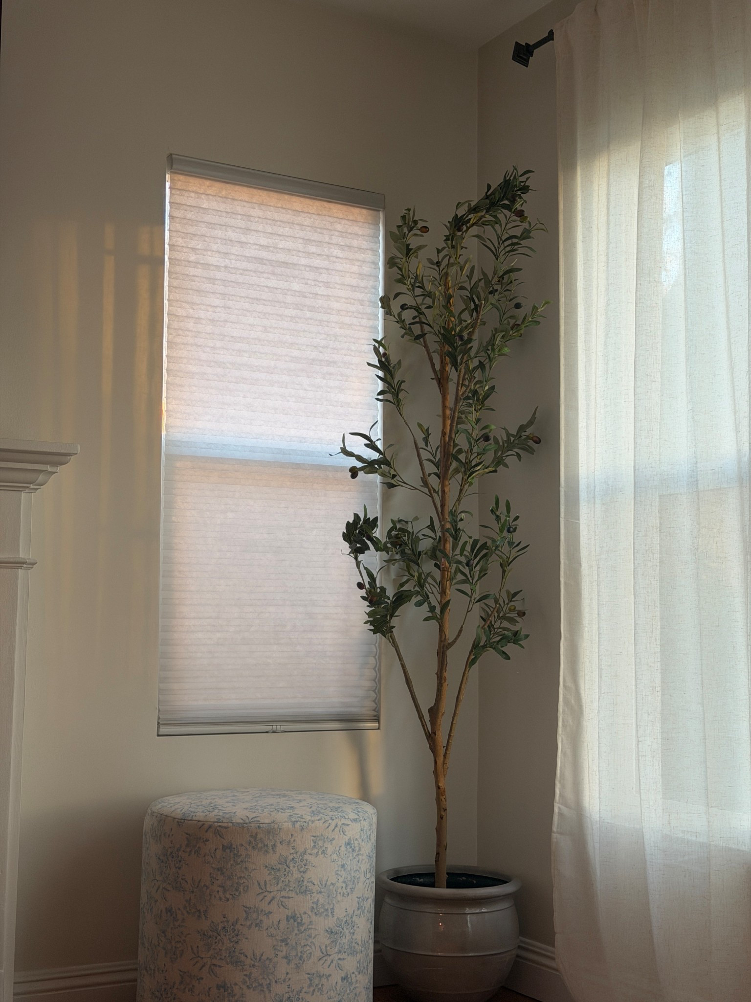 Faux olive tree! 

#LTKHome