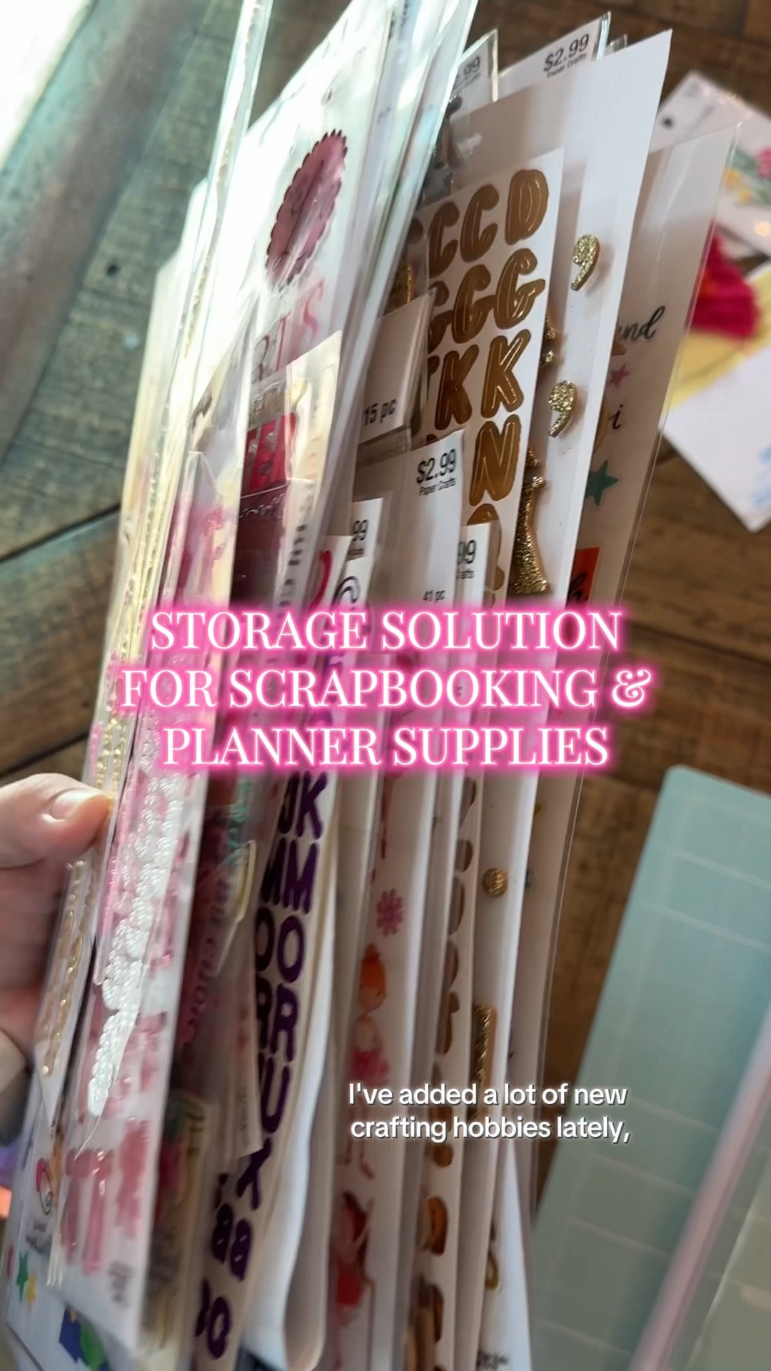 Crafting, scrapbooking, embroidery, planner accessories- or even kids toys or books… these clear cases can do it all! 

Perfect for the crafting girl or mom with kids on the go! 

#LTKdayinmylife #LTKmomlife #LTKKids