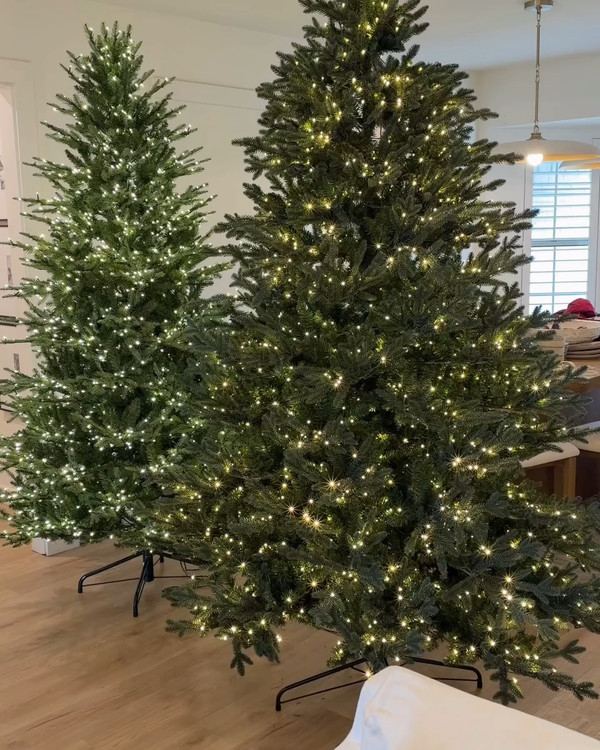 The Home Depot Christmas trees everyone waits for are back!