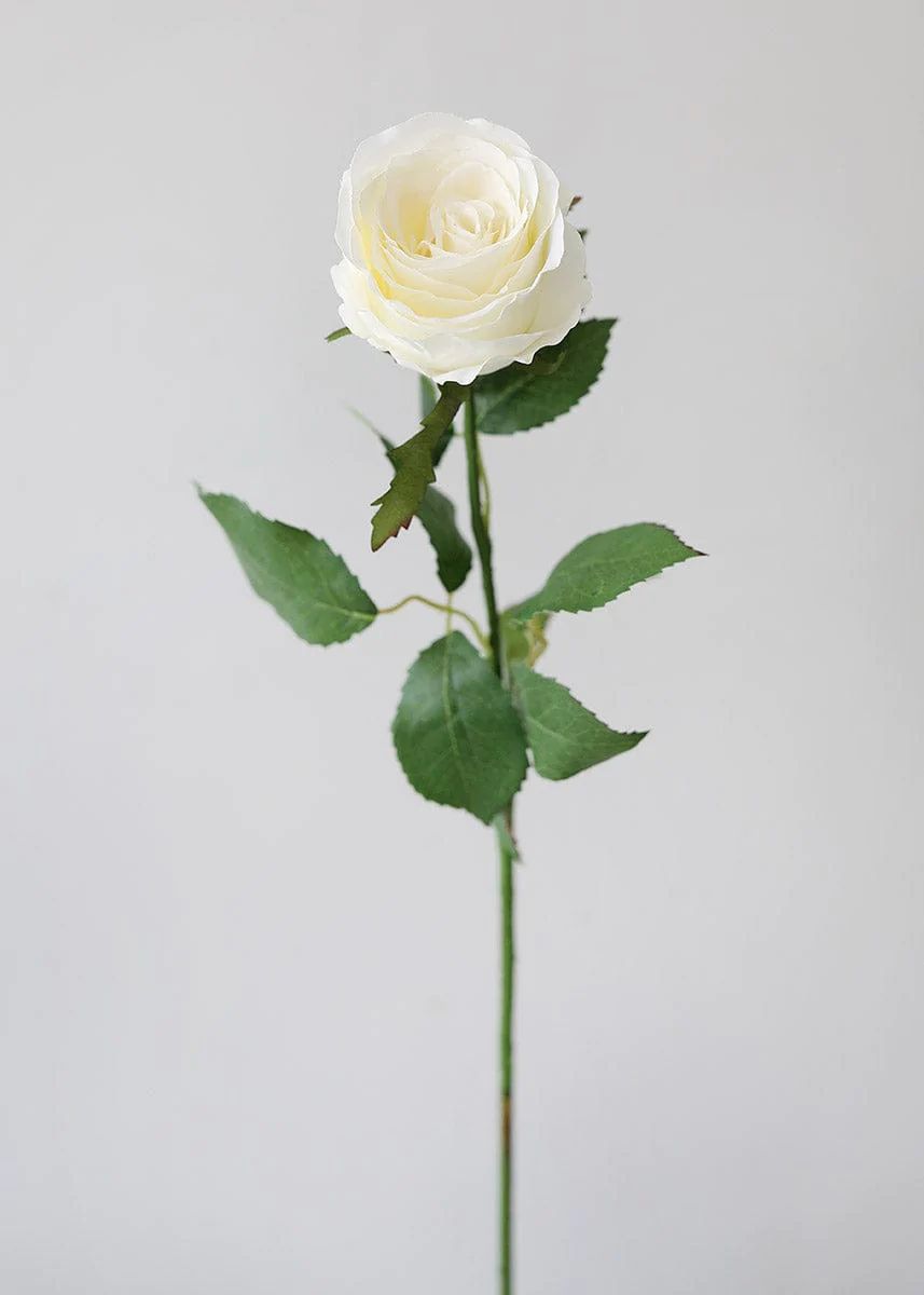 Cream Fake Cottage Rose Bud - 27.5" | Afloral