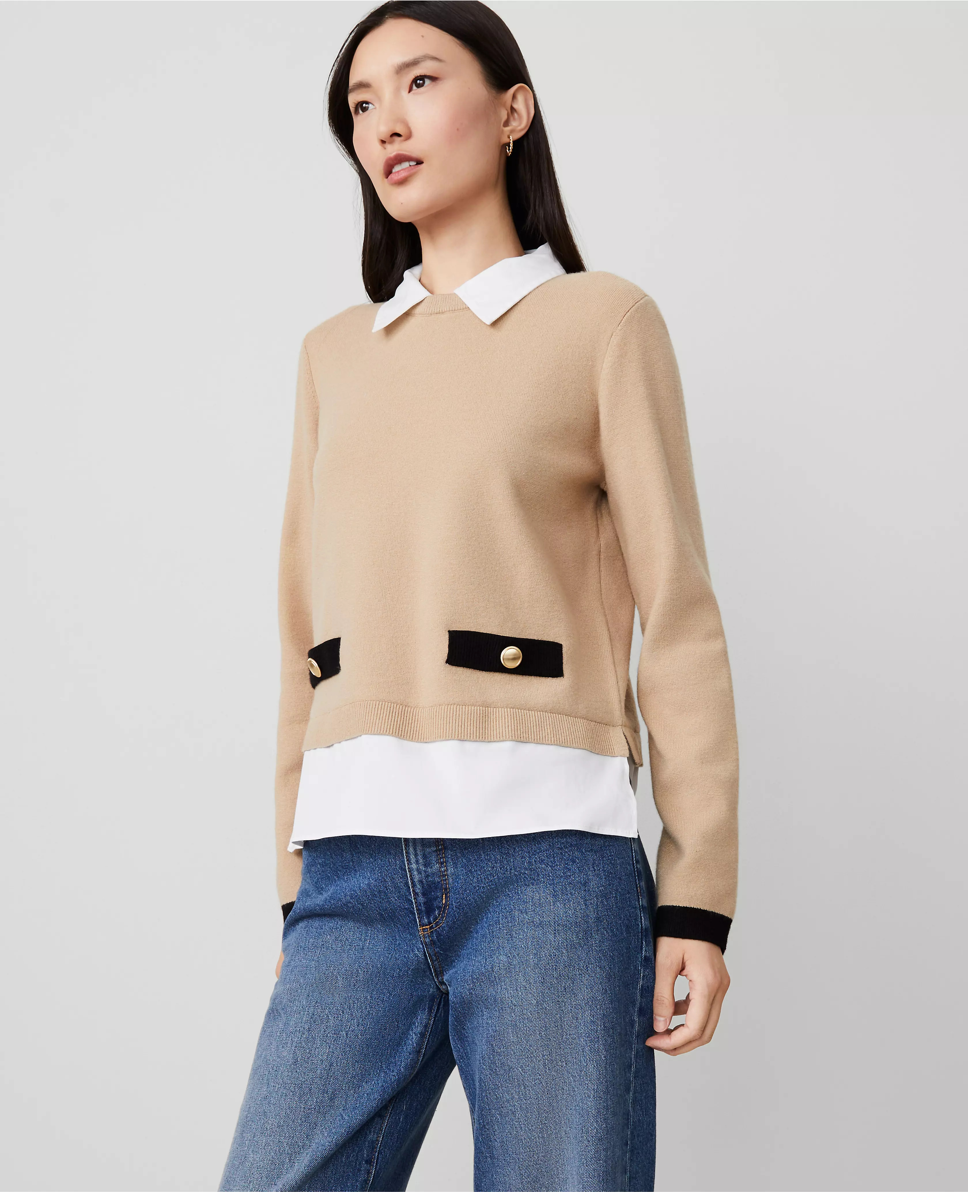 Ann Taylor | Ann Taylor (US)