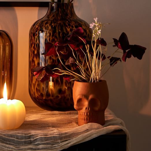 Terracotta Skull Vase | West Elm (US)