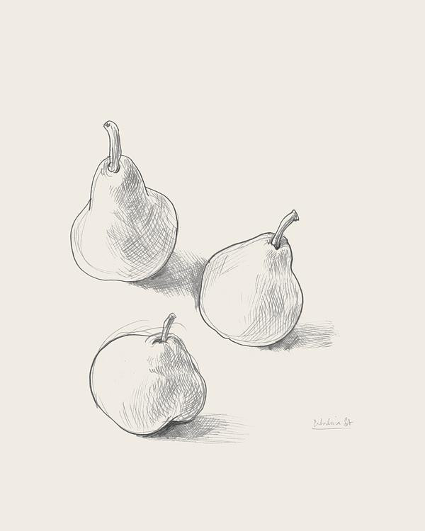 Three pears | Artfully Walls