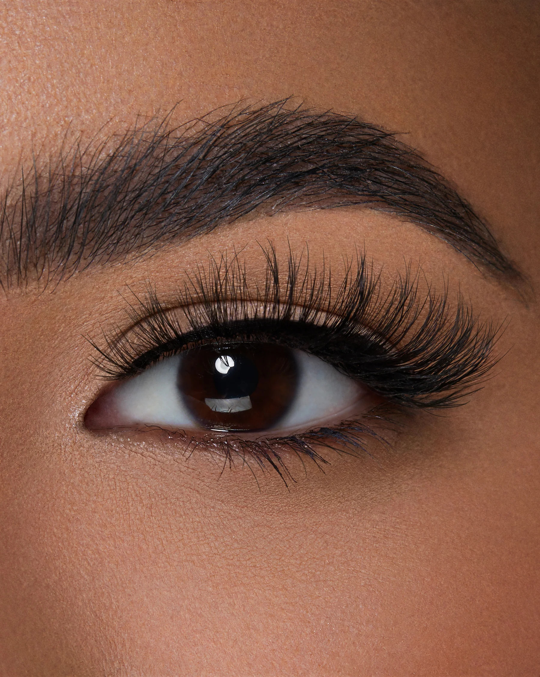 REGAL | Lilly Lashes