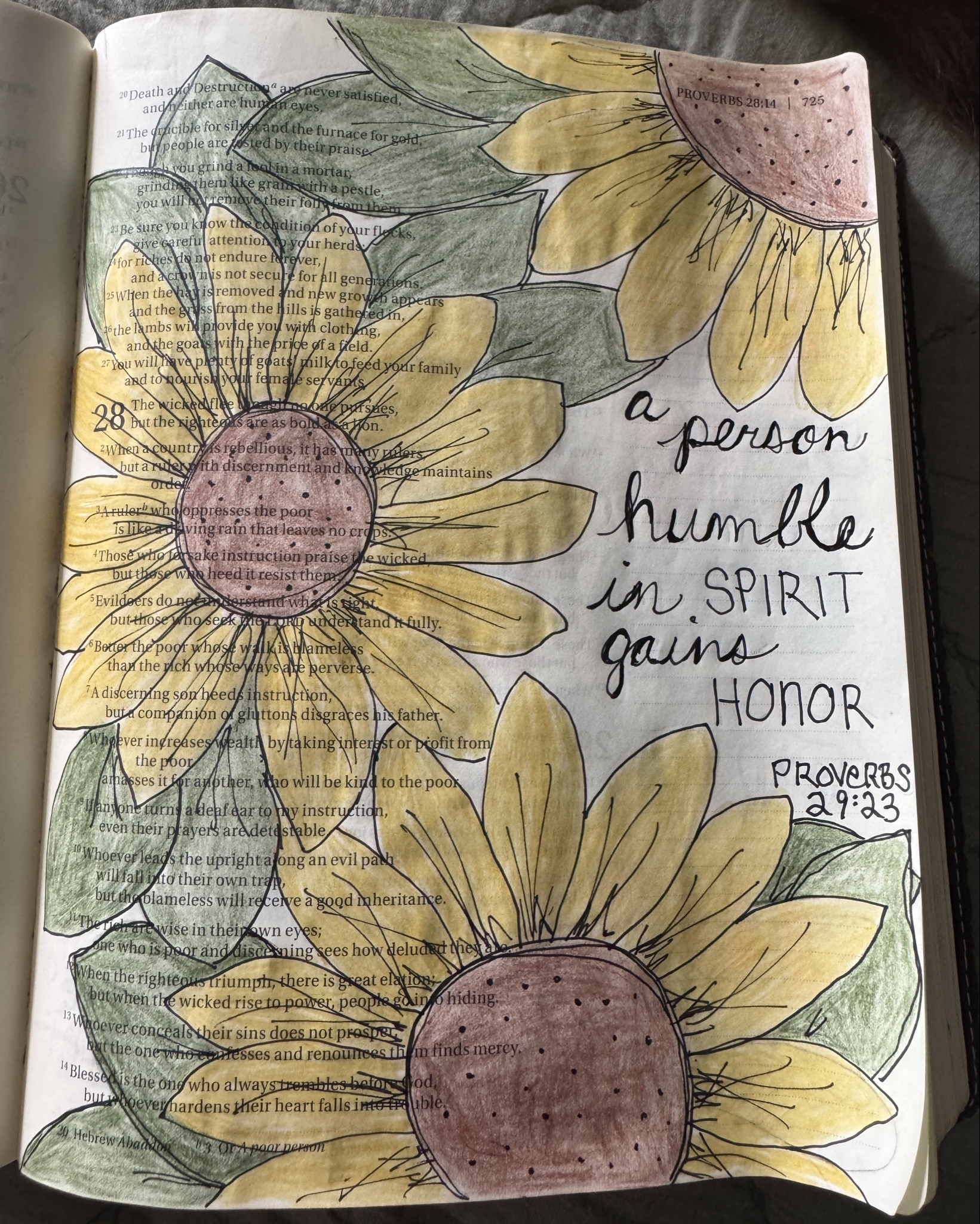 Most weeks while I listen to the sermon, I draw in my Bible. This week I did this sunflower illustration and I absolutely love this one! 🥰 Bible journaling is a lot of fun and easy to do with the right pens and pencils! 

#LTKHome #LTKFindsUnder50 #LTKSeasonal