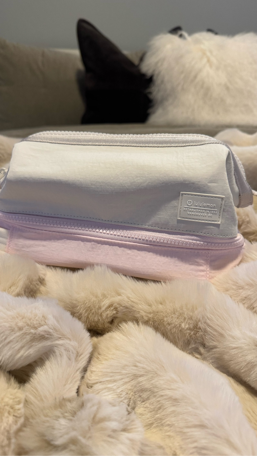 Picked up this dual-compartment toiletry bag from #lululemon at their NEW Downtown Disney location. 🏰 Picked up a cute crop tank and socks that perfectly match this bag’s colorway! 🌸 Super cute gift for UNDER $60! Love this color for spring but comes in other colors, all linked below! 💕

#LTKTravel #LTKActive #LTKValentine