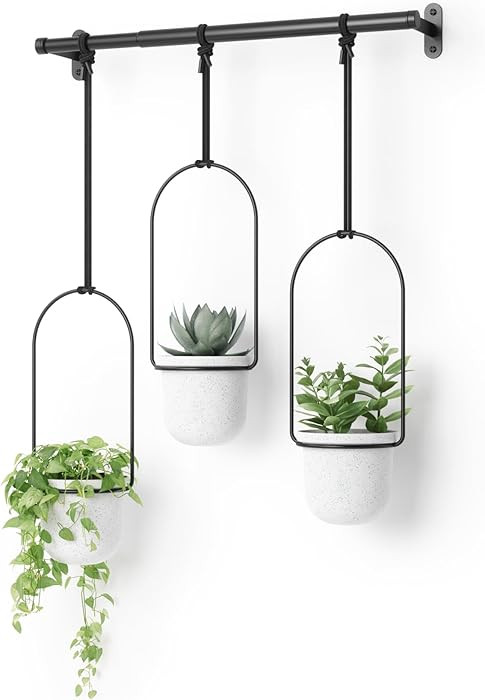 Umbra Triflora Hanging Planter for Window, Indoor Herb Garden, White/Black, Triple, 3 Pots | Amazon (UK)
