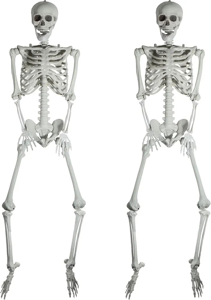 5.4ft Halloween Skeletons Full Body Bones with Movable Joints Life Size Seleton for Halloween Dec... | Amazon (US)